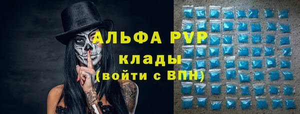 СК Абинск